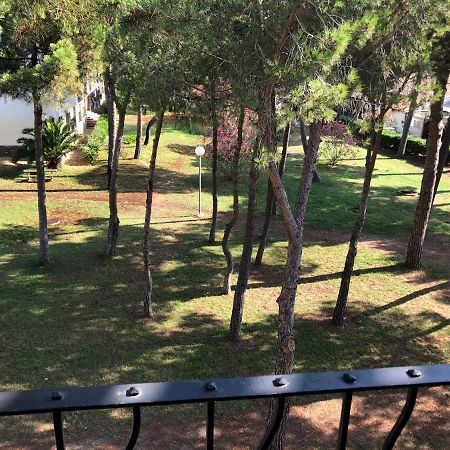 Studio 150M De La Mer Argelès-sur-Mer Kültér fotó